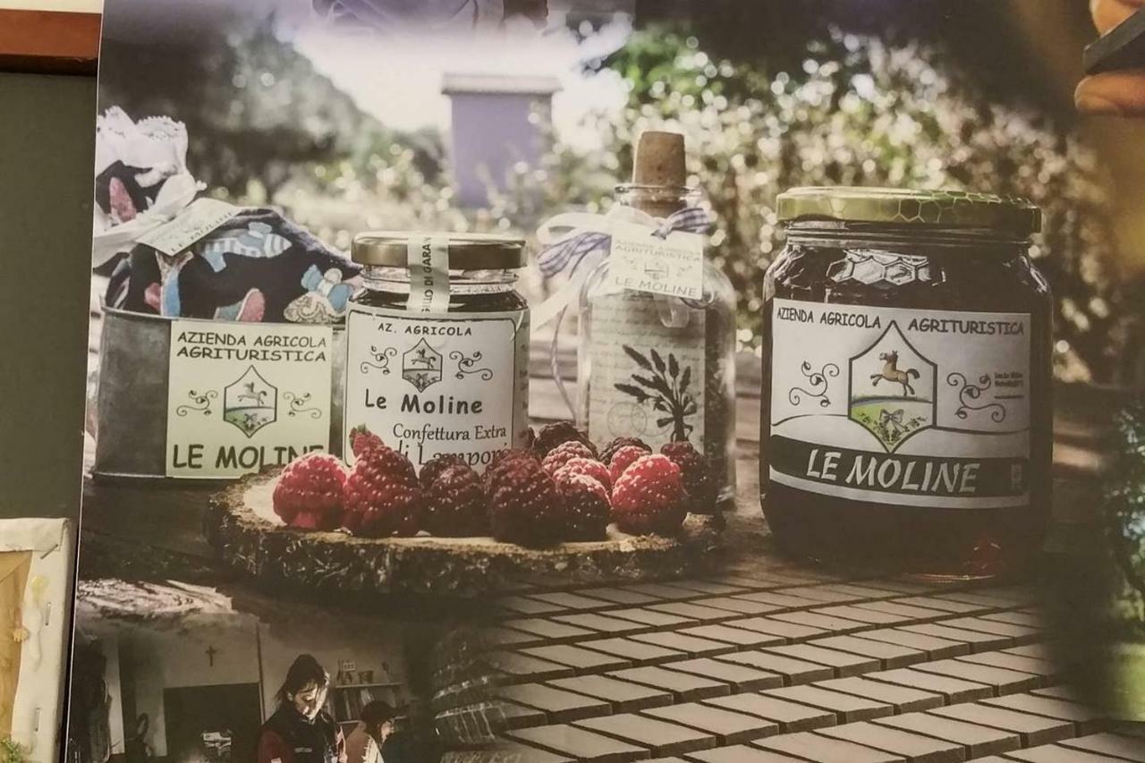 Piccolo Casale A "Le Moline" In Una Vera Fattoria Vetralla Bagian luar foto