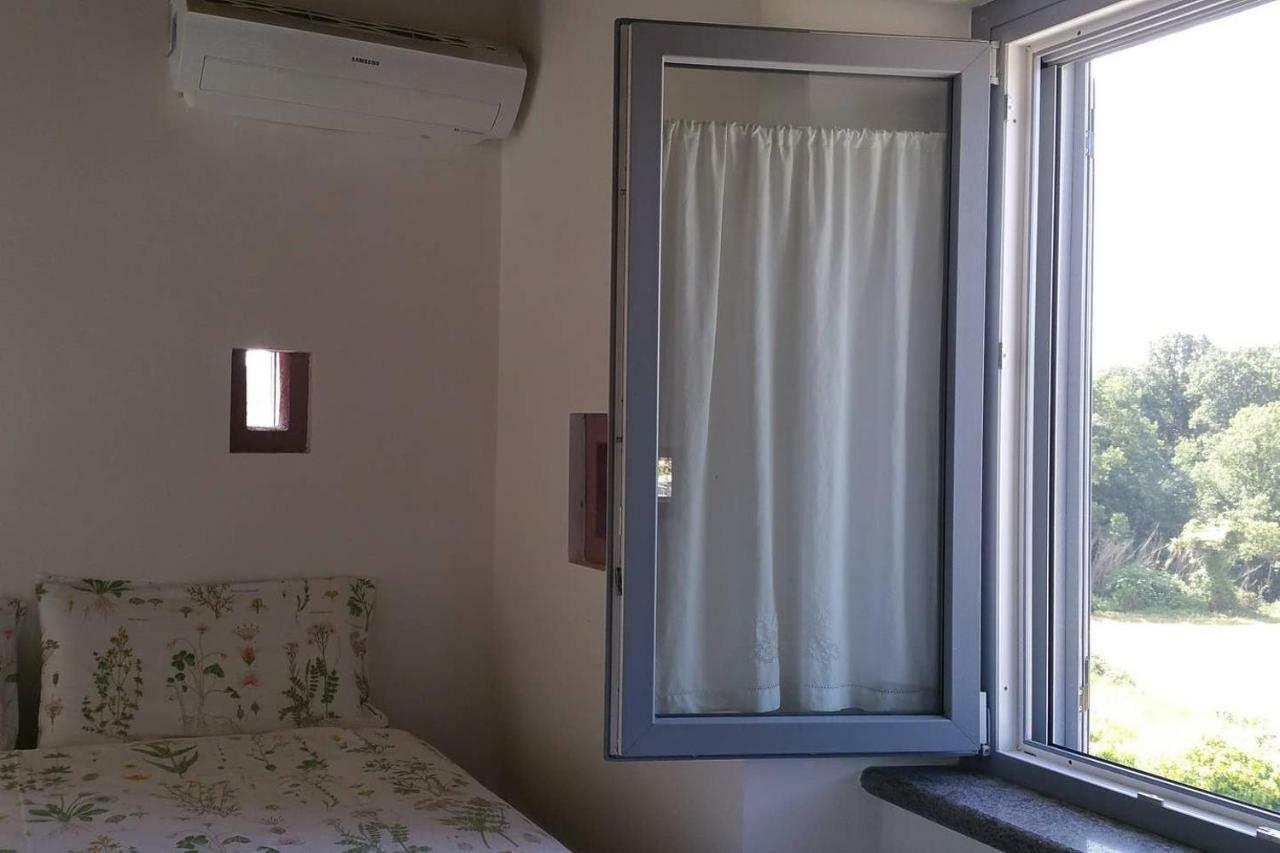 Piccolo Casale A "Le Moline" In Una Vera Fattoria Vetralla Bagian luar foto