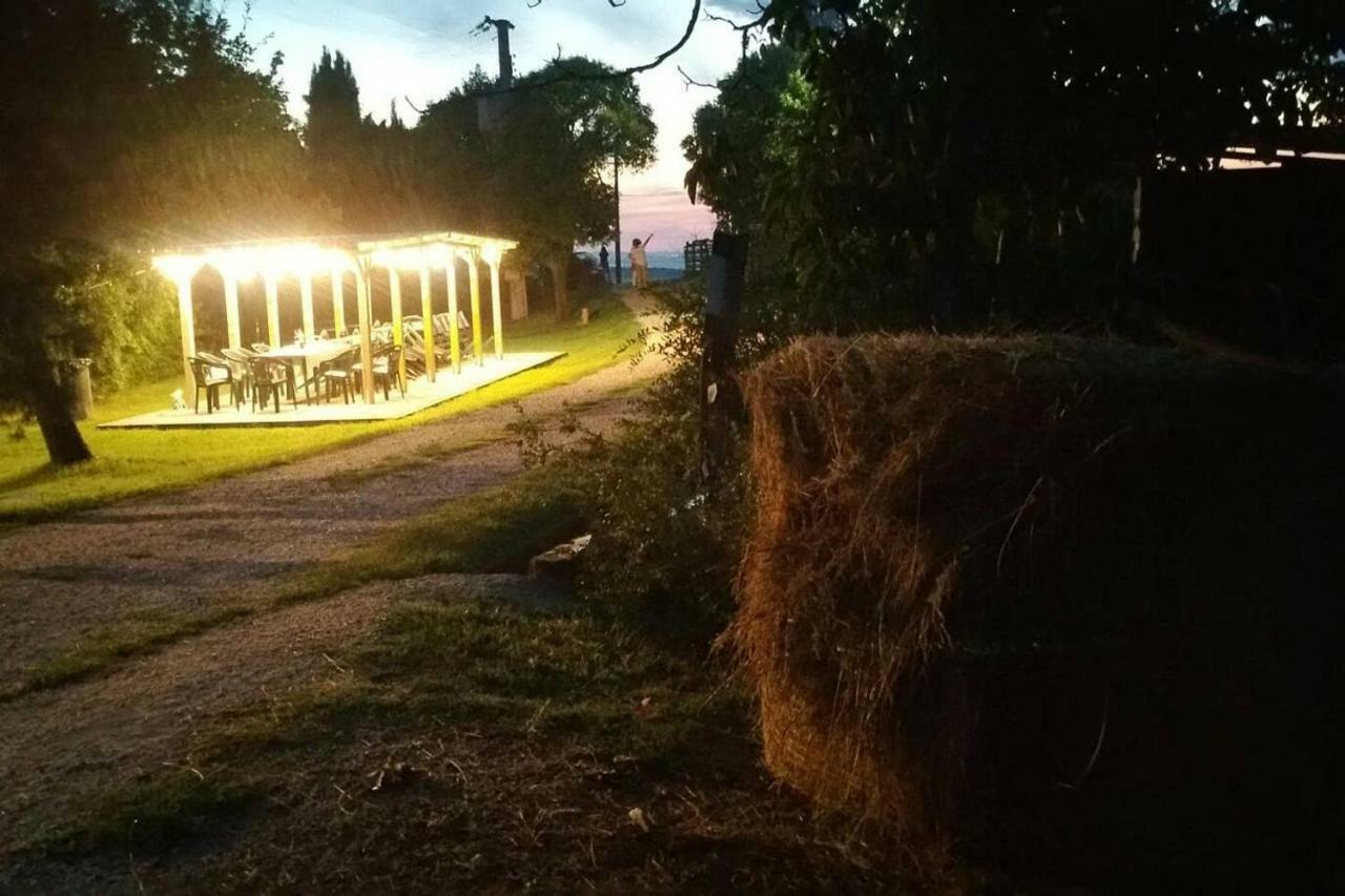 Piccolo Casale A "Le Moline" In Una Vera Fattoria Vetralla Bagian luar foto