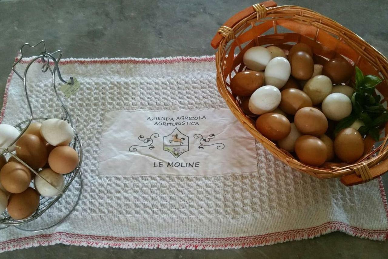 Piccolo Casale A "Le Moline" In Una Vera Fattoria Vetralla Bagian luar foto